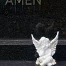 Reflex'82 34 Peter von Walter